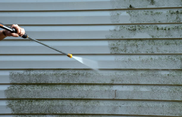 Best Driveway Pressure Washing  in Basile, LA